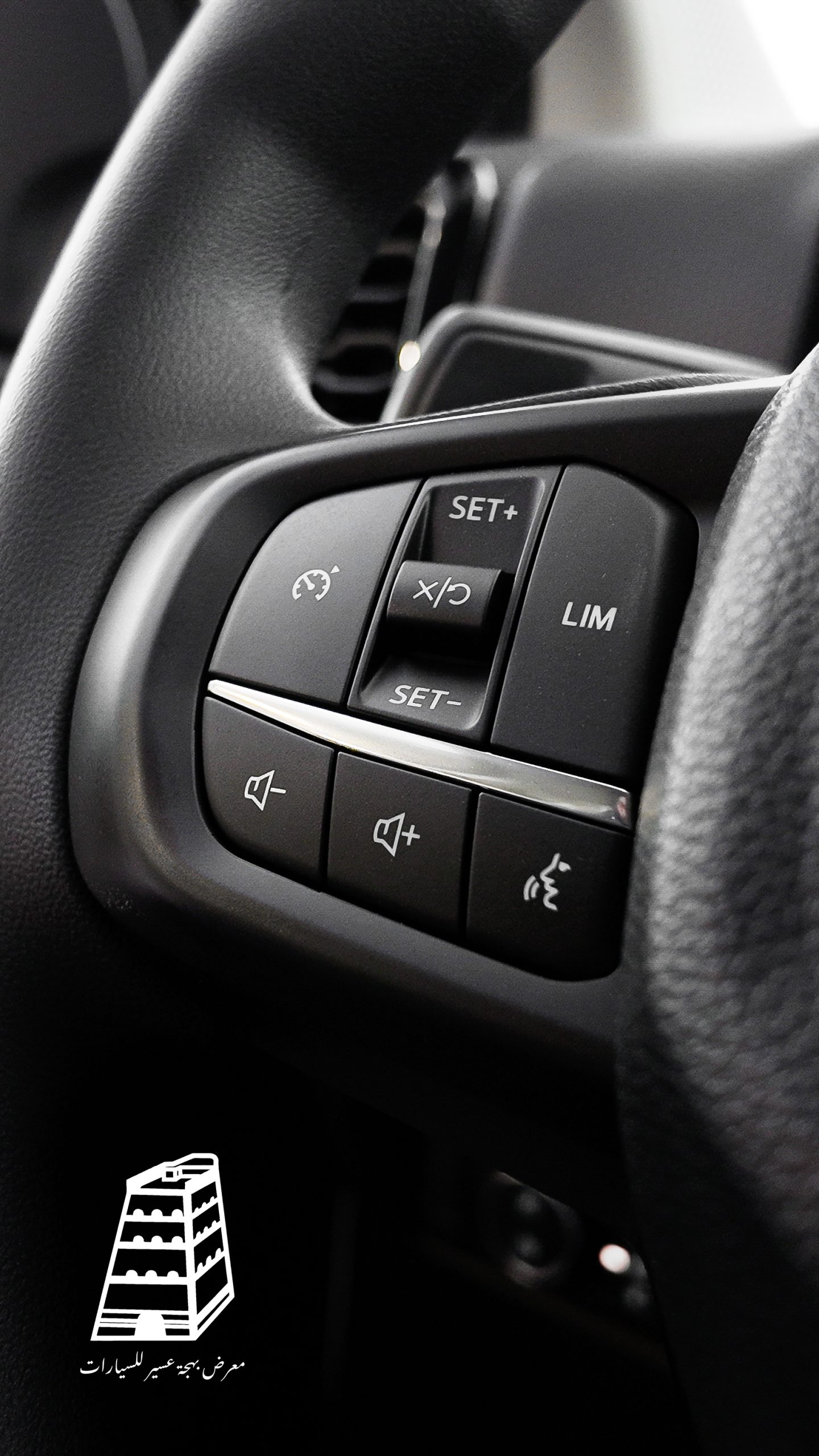 Ford Everest (Black)