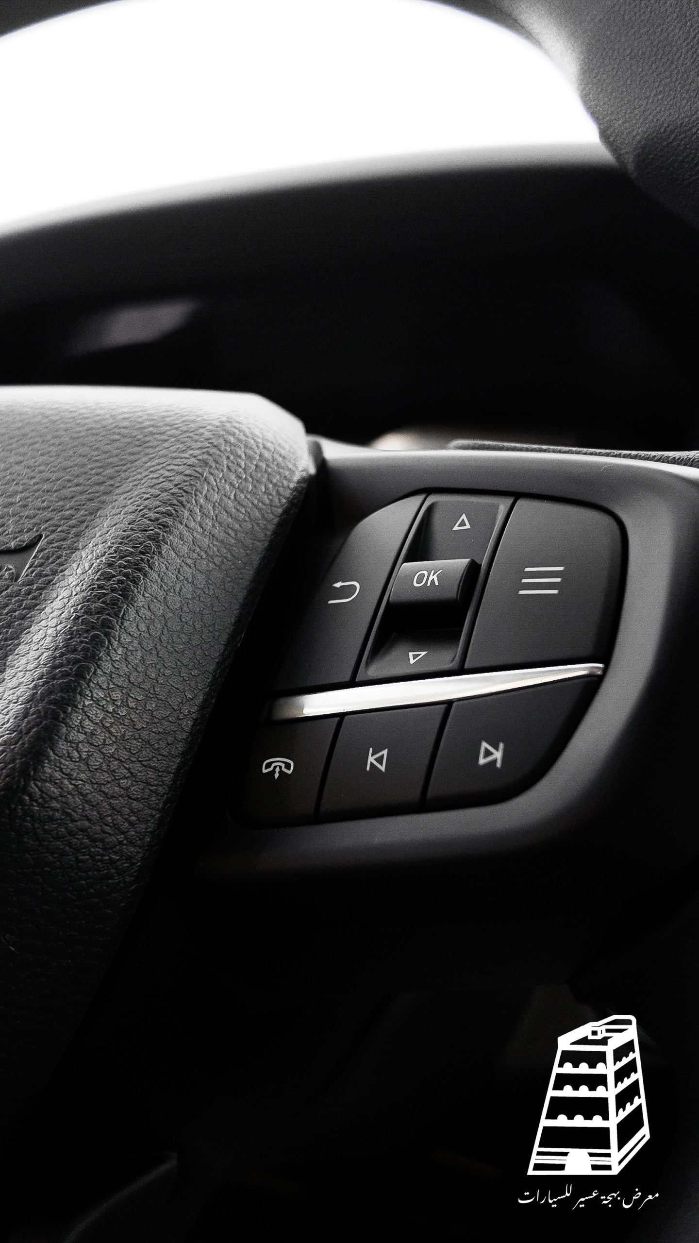 Ford Everest (Black)