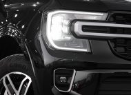 Ford Everest (Black)