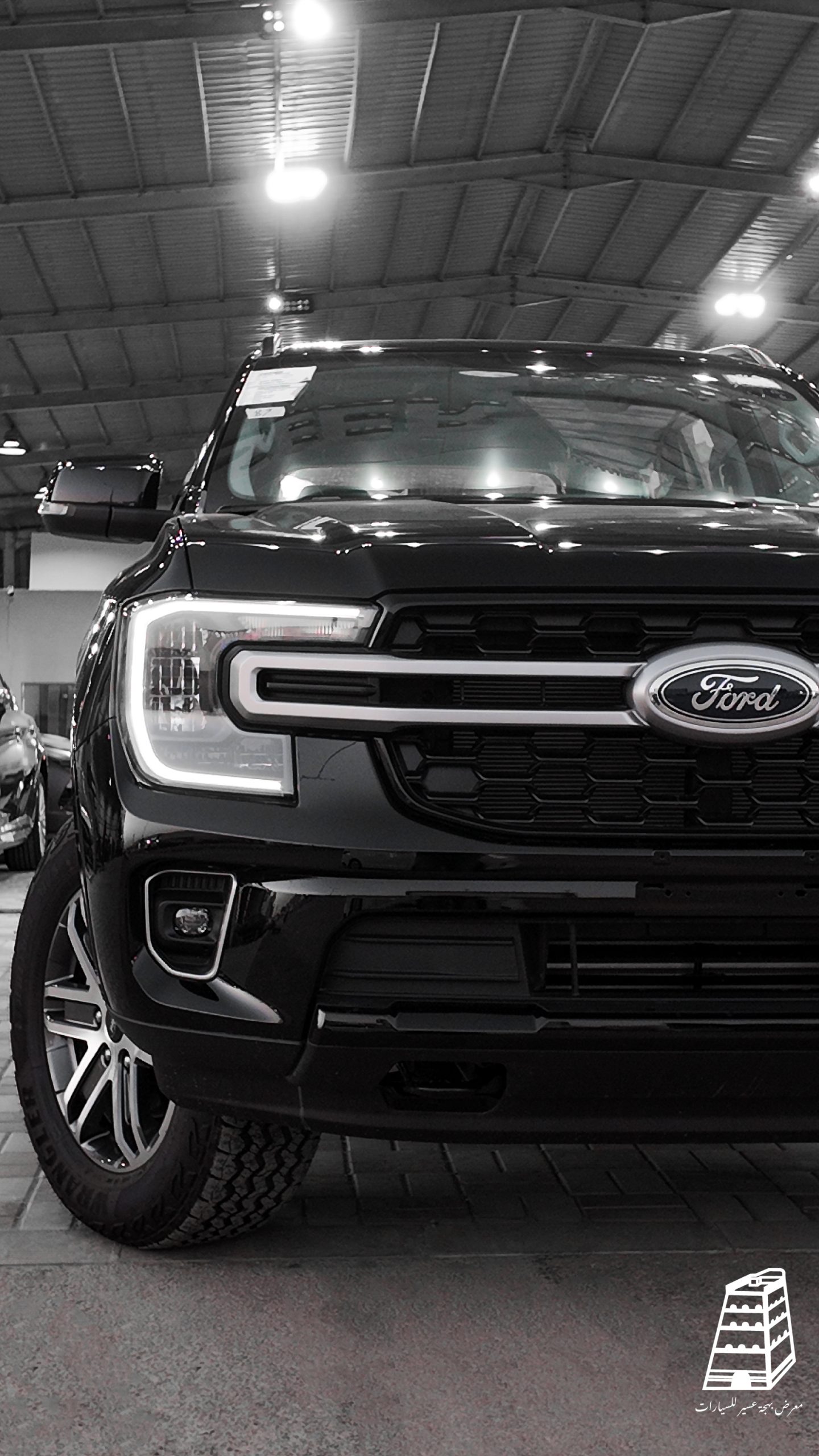 Ford Everest (Black)