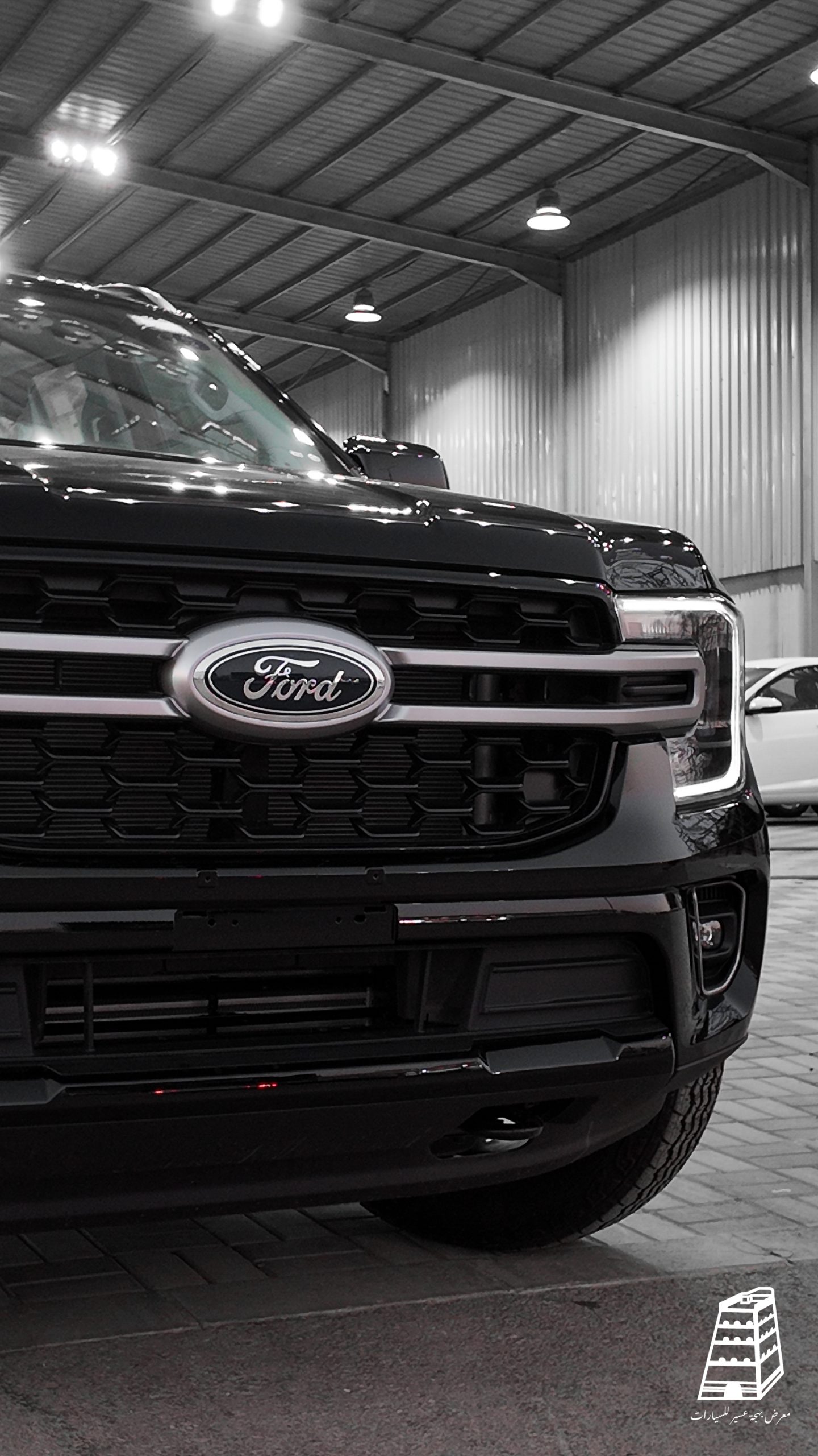 Ford Everest (Black)